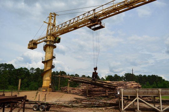 Small timbers are loaded onto the conveyor belt at Victory's chip and lumber mill in Camden, AR.